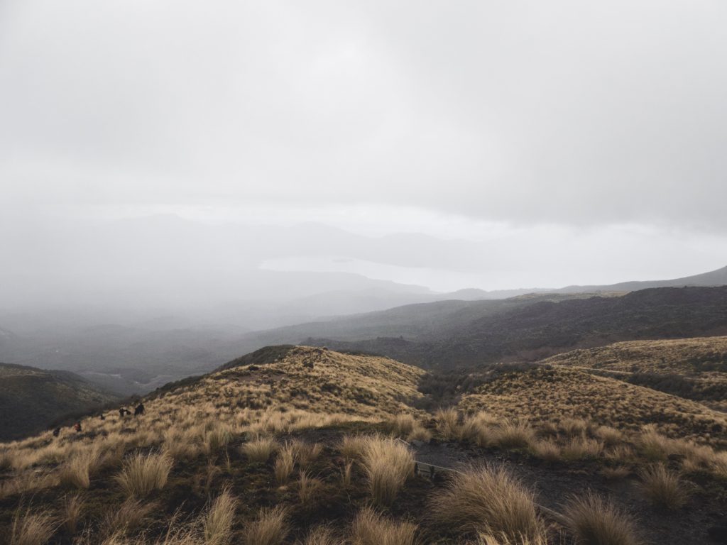 Barren Landscape